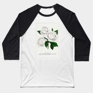 White rose, Coquette Des Alps lithograph (1900) Baseball T-Shirt